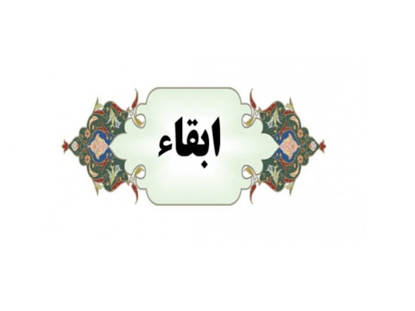 رئیس مرکز ملی مطالعات و برنامه ریزی شبکه های قدرت دانشگاه ابقاء شد